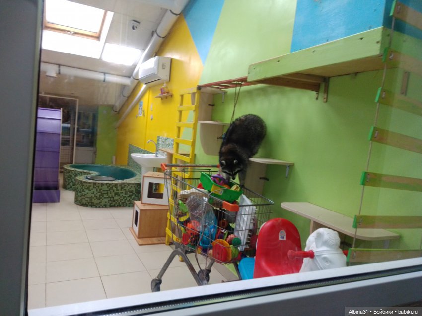 Прогулка в Люберцах — Игровые куклы разных производителей (Разное): редкие бренды