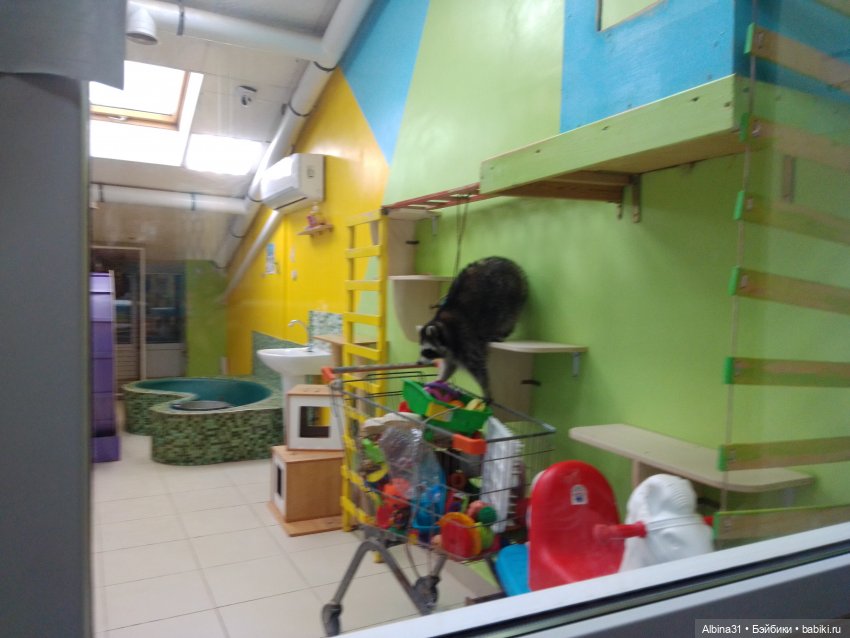 Прогулка в Люберцах — Игровые куклы разных производителей (Разное): редкие бренды