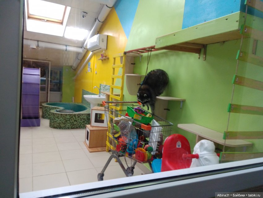 Прогулка в Люберцах — Игровые куклы разных производителей (Разное): редкие бренды