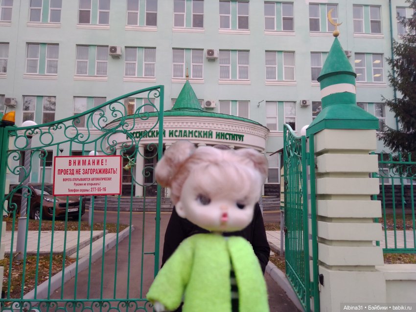 Казань — Игровые куклы разных производителей (Разное): редкие бренды (фото 10)