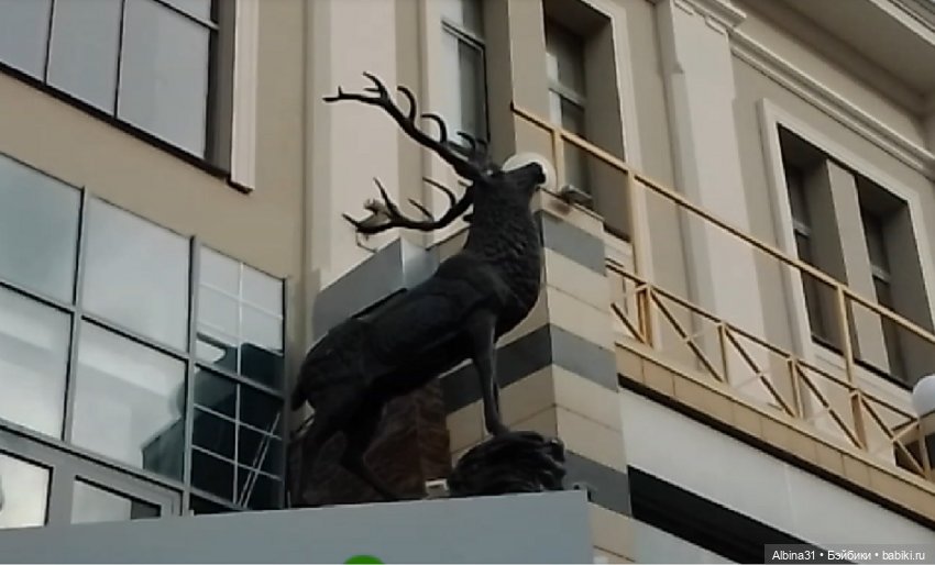 Казань (окончание) — Туризм и путешествия: фотоотчеты из поездок (фото 3)