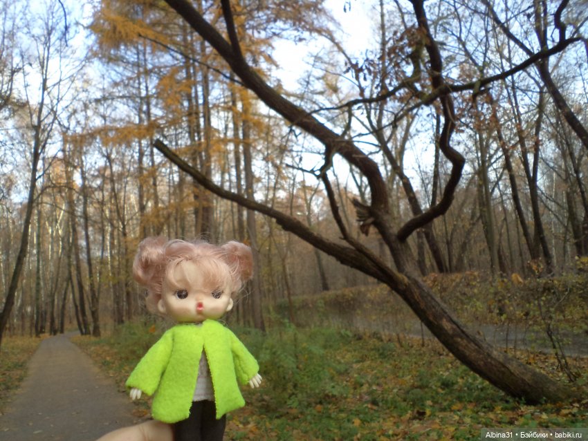 Парк в Измайлова — Игровые куклы разных производителей (Разное): редкие бренды