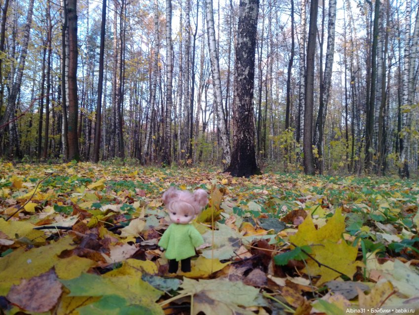 Парк в Измайлова — Игровые куклы разных производителей (Разное): редкие бренды