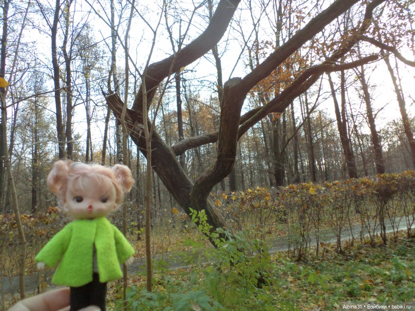 Парк в Измайлова — Игровые куклы разных производителей (Разное): редкие бренды