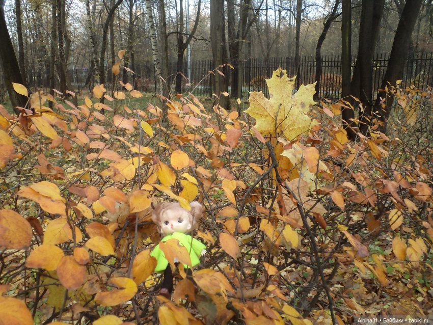 Парк в Измайлова — Игровые куклы разных производителей (Разное): редкие бренды