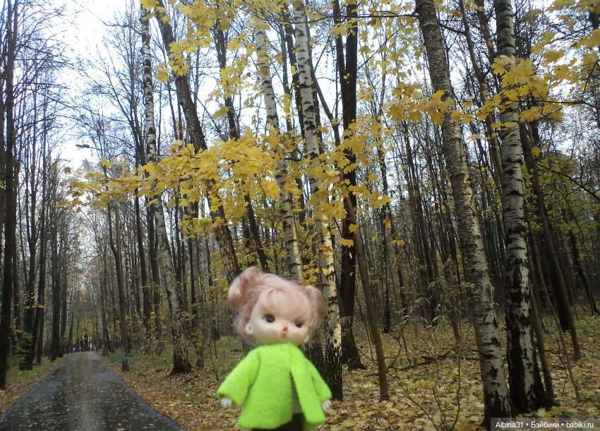 Парк в Измайлова — Игровые куклы разных производителей (Разное): редкие бренды