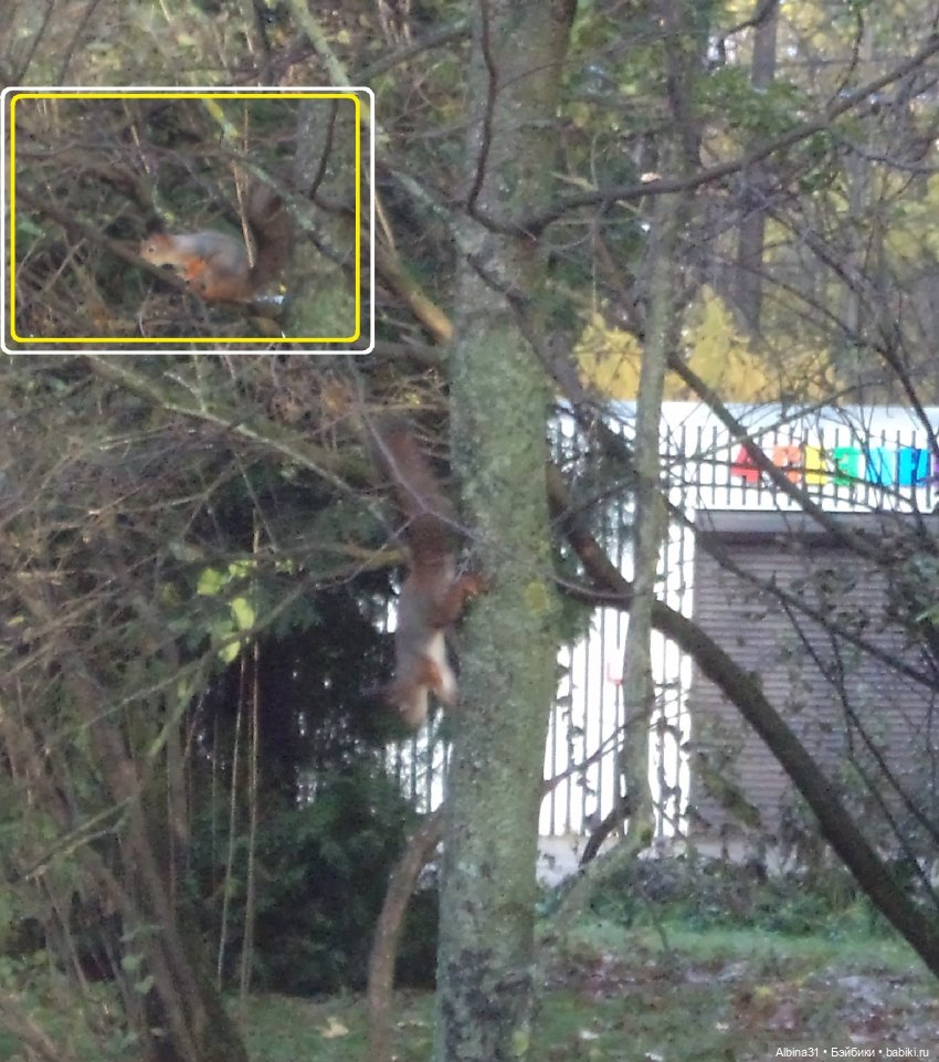 Парк в Измайлова — Игровые куклы разных производителей (Разное): редкие бренды