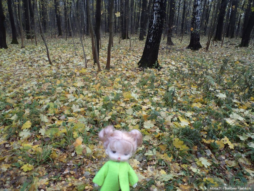 Парк в Измайлова — Игровые куклы разных производителей (Разное): редкие бренды