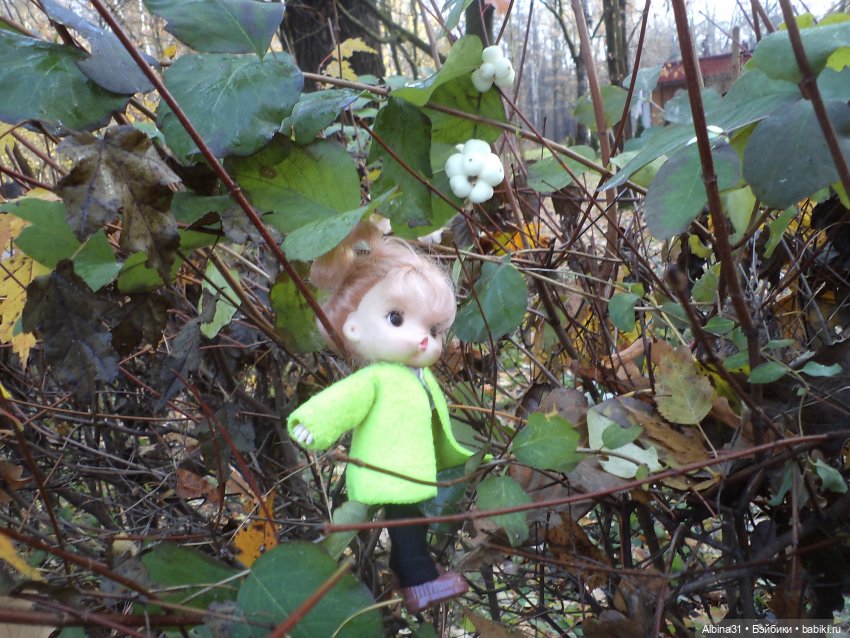 Парк в Измайлова — Игровые куклы разных производителей (Разное): редкие бренды