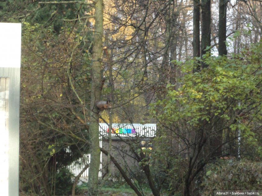 Парк в Измайлова — Игровые куклы разных производителей (Разное): редкие бренды