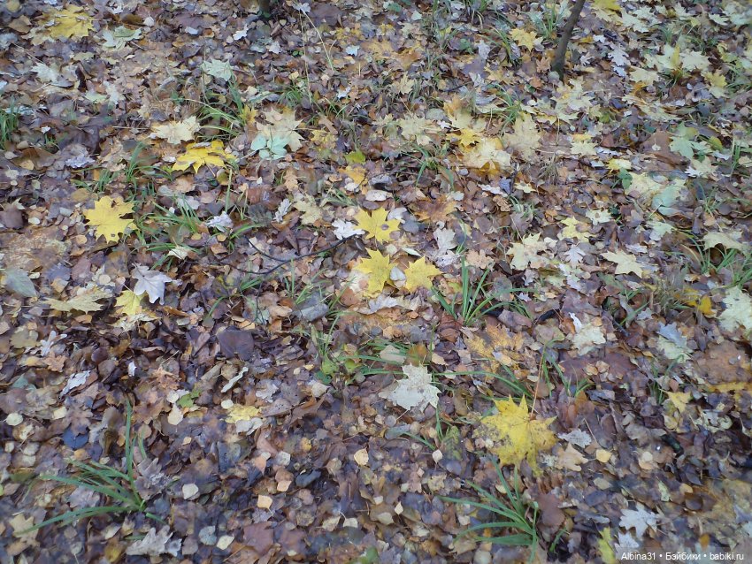 Парк в Измайлова — Игровые куклы разных производителей (Разное): редкие бренды