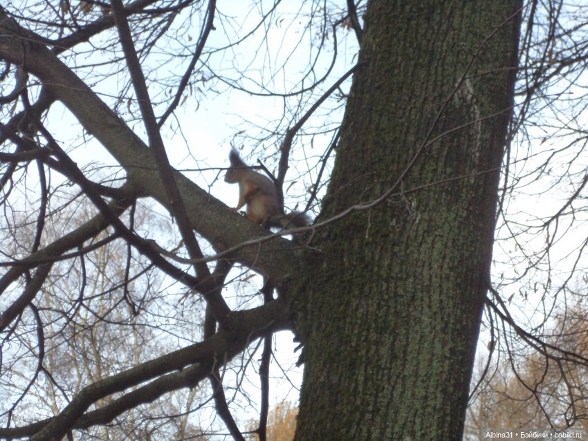 Парк в Измайлова — Игровые куклы разных производителей (Разное): редкие бренды