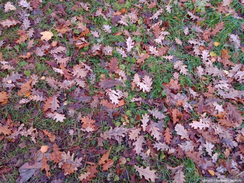 Парк в Измайлова — Игровые куклы разных производителей (Разное): редкие бренды