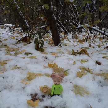 Парк в Измайлова