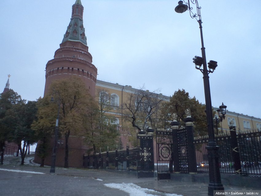 Александровский сад 2023 год