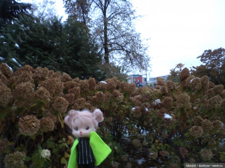 Александровский сад 2023 год