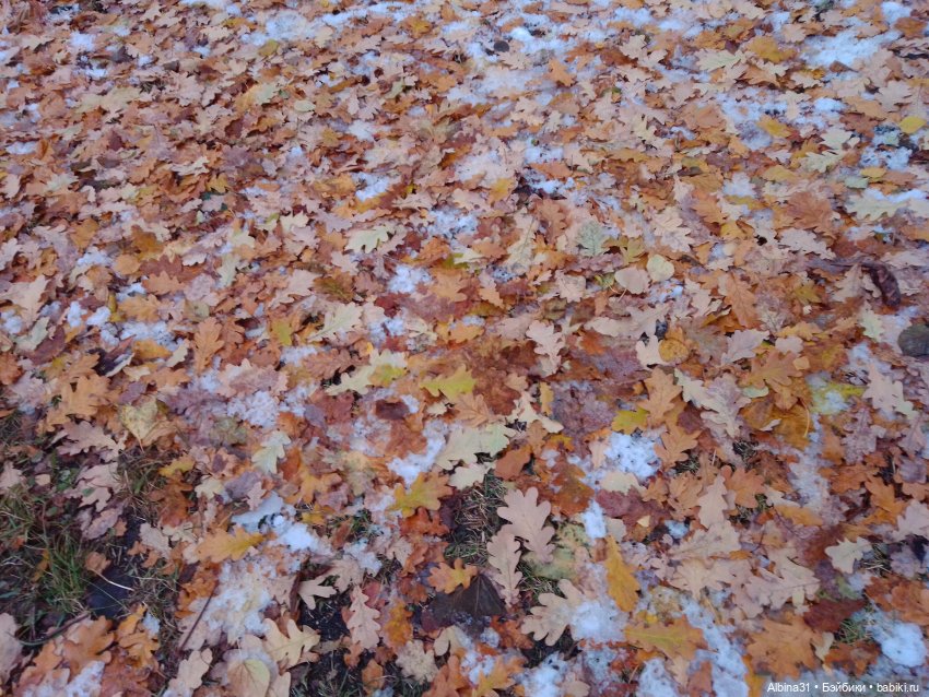 Это Москва... Осень 2023 год