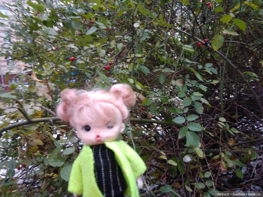 Это Москва... Осень 2023 год