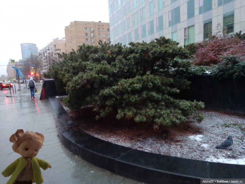 Это Москва... Осень 2023 год (3) (фото 6)