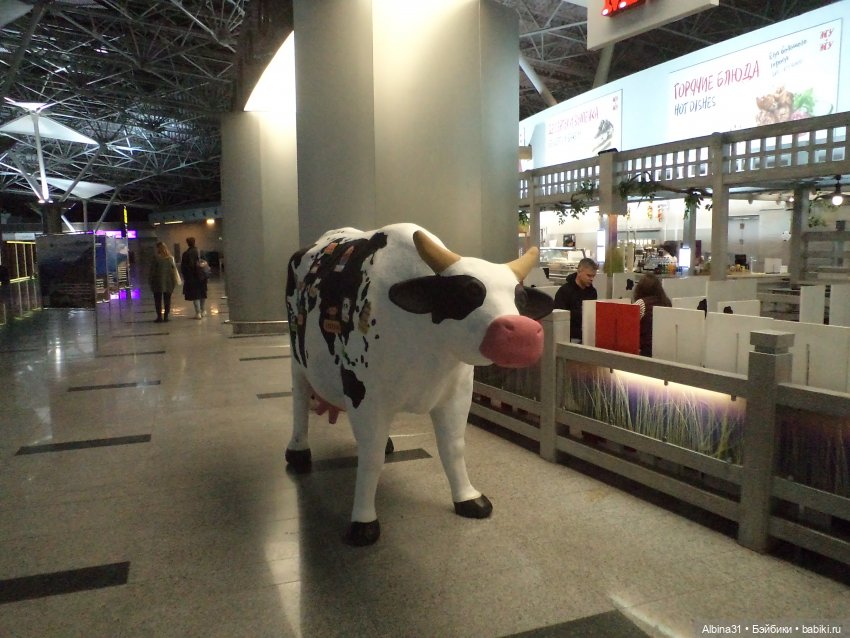 Где начинаются или заканчиваются путешествия