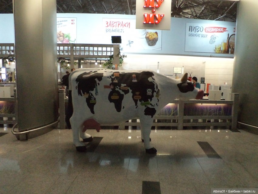 Где начинаются или заканчиваются путешествия