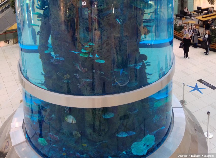 Авиапарк и Саларис — Игровые куклы разных производителей (Разное): редкие бренды (фото 3)