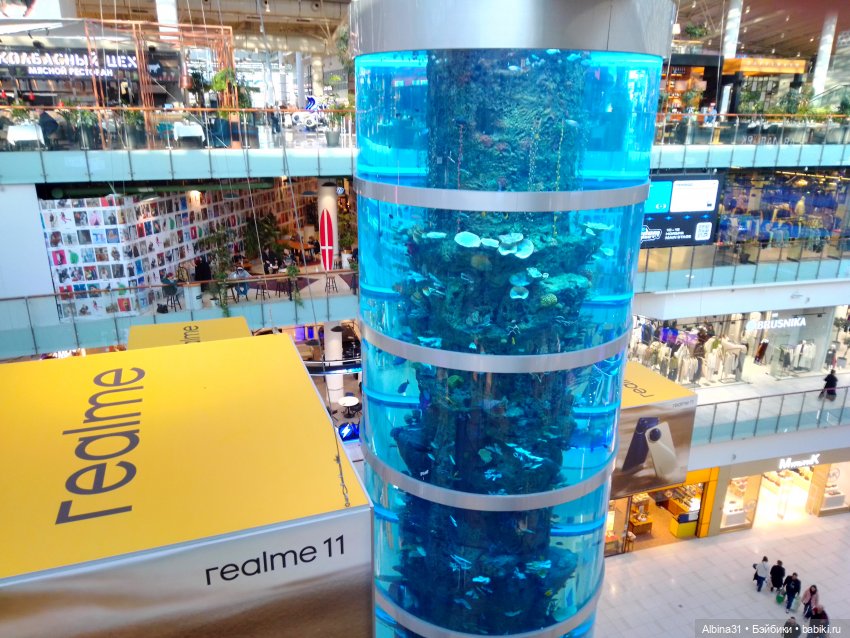 Авиапарк и Саларис — Игровые куклы разных производителей (Разное): редкие бренды