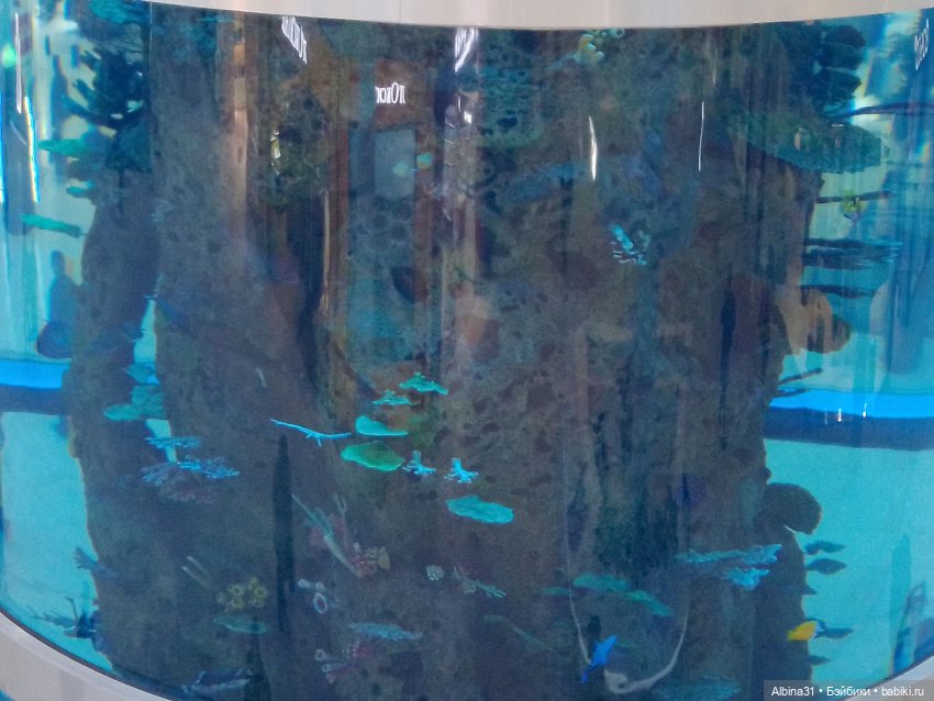 Авиапарк и Саларис — Игровые куклы разных производителей (Разное): редкие бренды (фото 2)