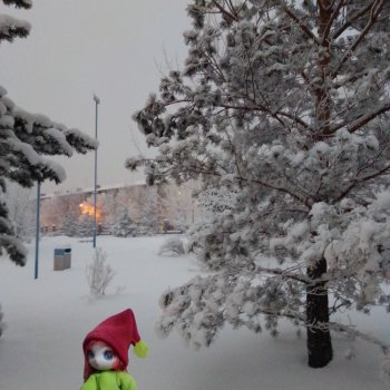 Предновогодние зарисовки города 2023