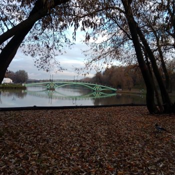 Это Москва... Царицыно