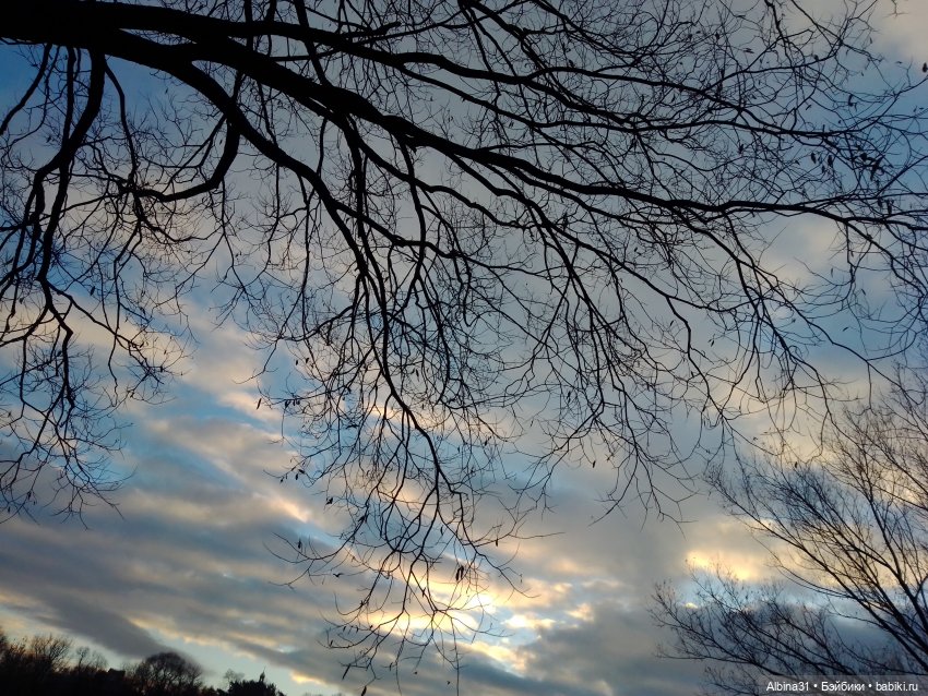 Это Москва... Царицыно — Культура