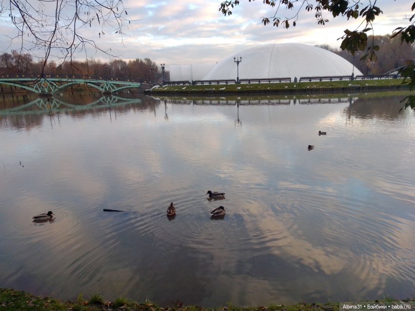 Это Москва... Царицыно — Культура
