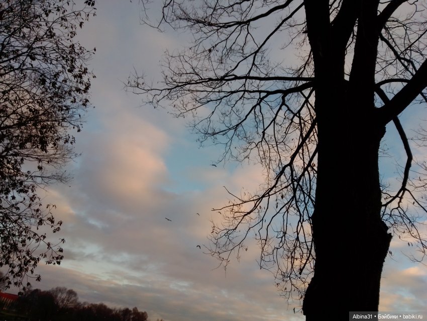 Это Москва... Царицыно — Культура