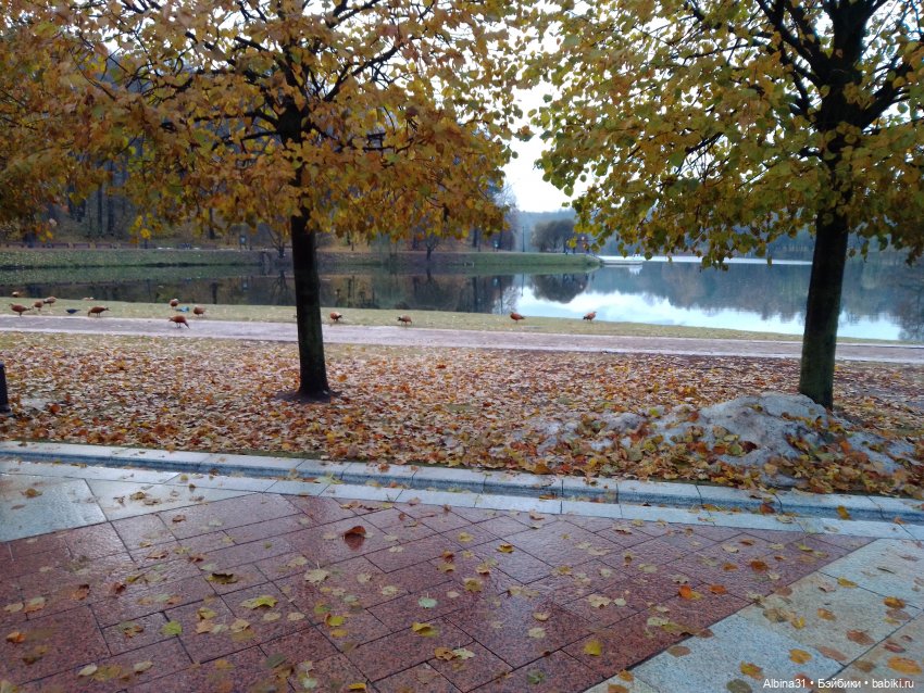 Это Москва... Царицыно — Культура