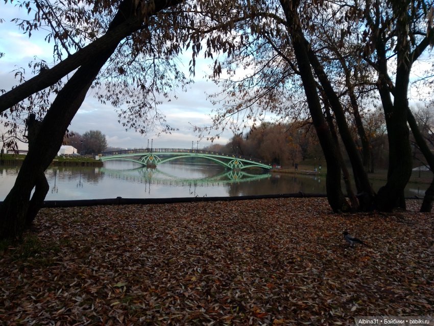 Это Москва... Царицыно — Культура