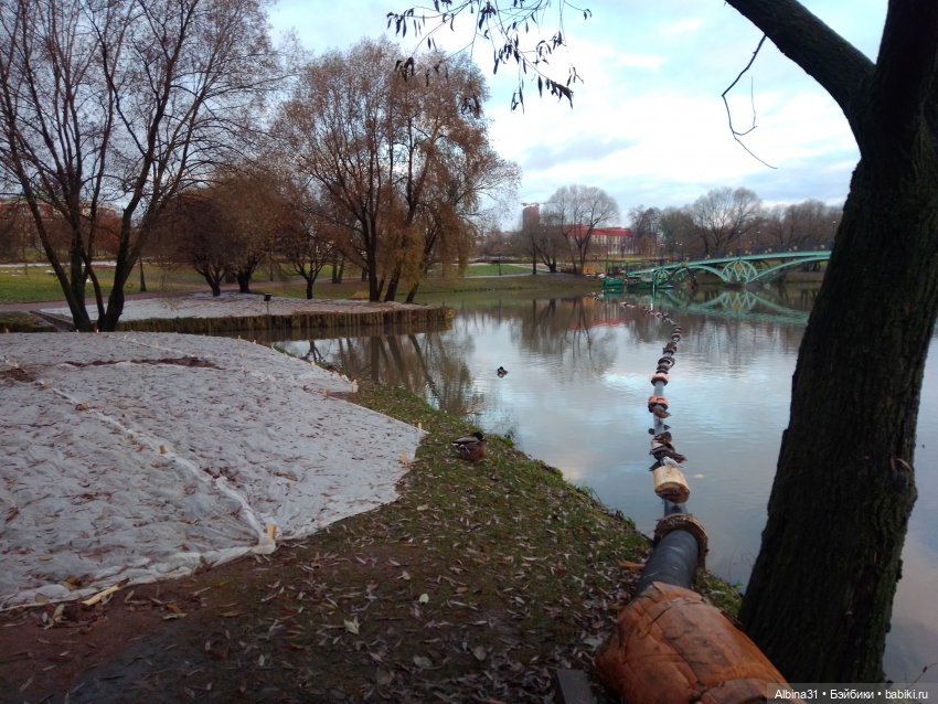 Это Москва... Царицыно — Культура