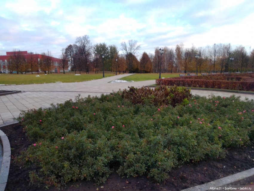 Это Москва... Царицыно — Культура