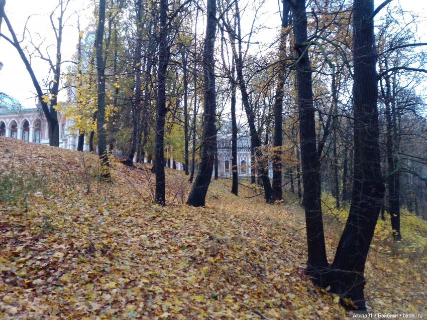 Это Москва... Царицыно — Культура