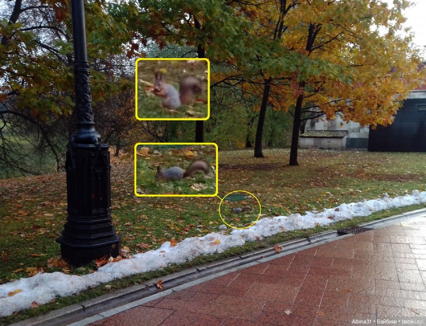 Это Москва... Царицыно (2)