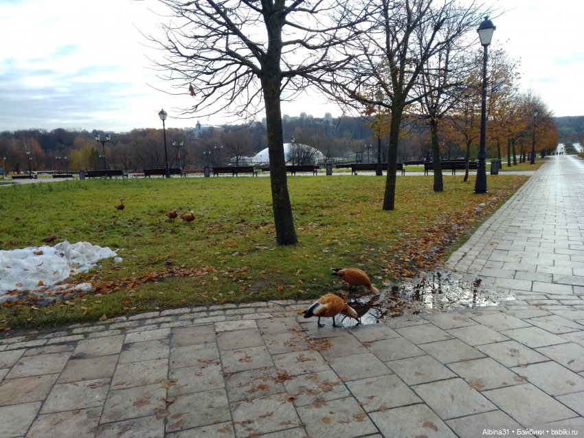 Это Москва... Царицыно (2)