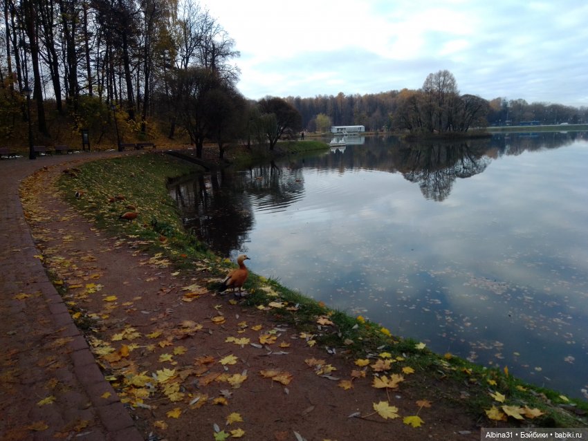 Это Москва... Царицыно (2)