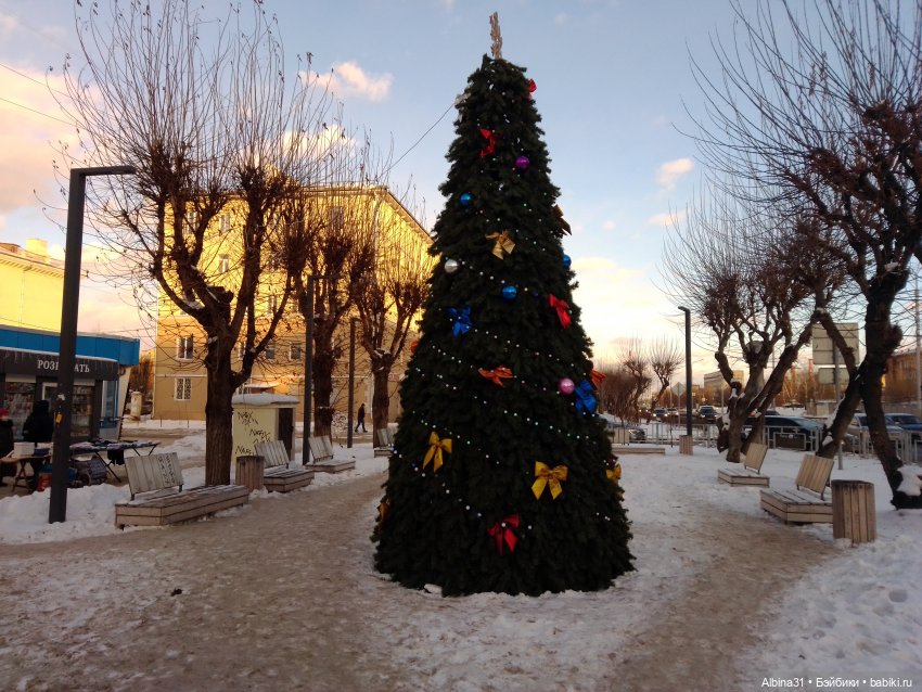 Городские ёлки - 2024 год (фото 6)