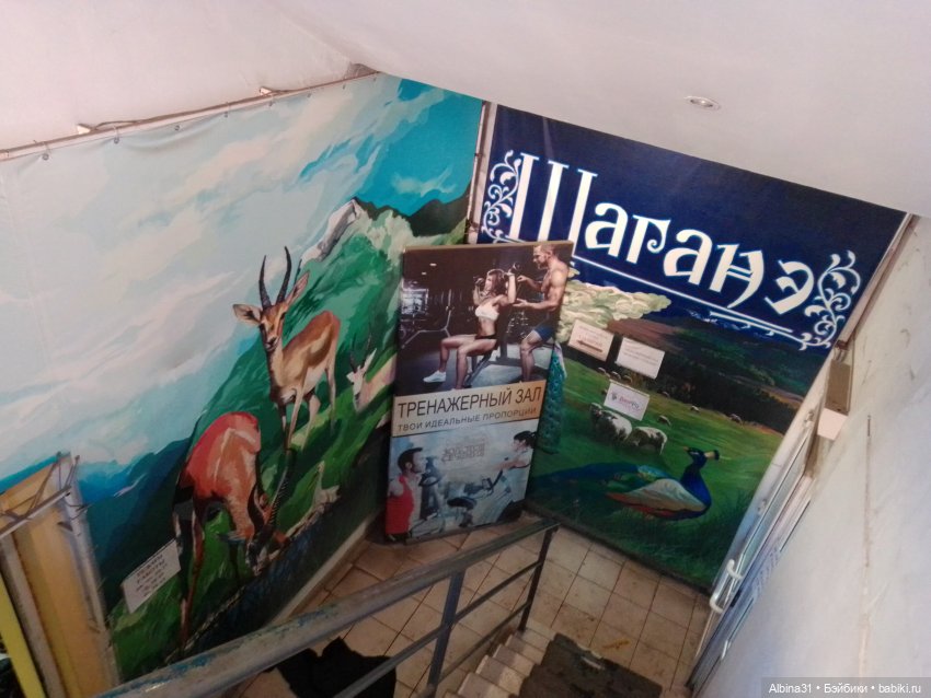 Городские ёлки - 2024 год (фото 8)