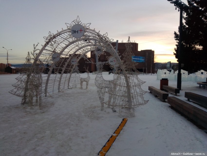 Городские ёлки - 2024 год