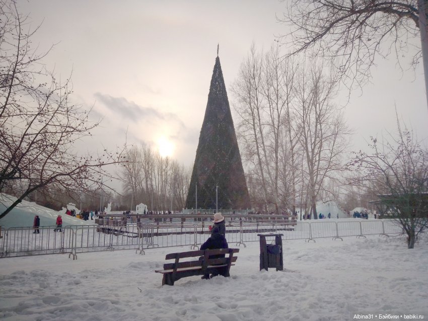 Городские ёлки - 2024 год