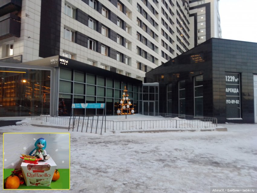 Городские ёлки - 2024 год