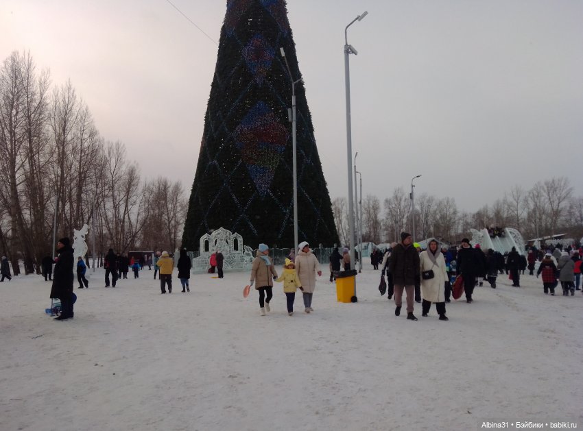 Городские ёлки - 2024 год