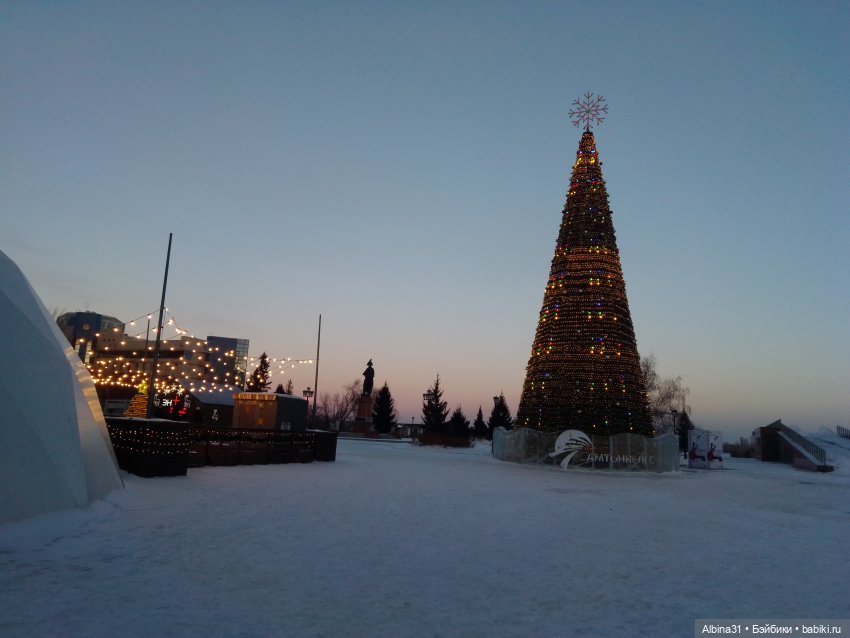 Городские ёлки - 2024 год