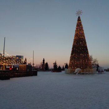 Городские ёлки - 2024 год