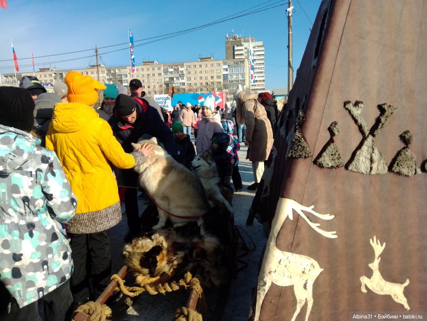 Городские зарисовки... Ноябрь 2023 год (фото 10)